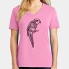 Ladies Core Cotton V Neck Tee Thumbnail